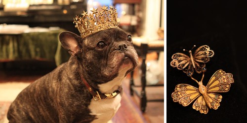 Orson’s Animal Kingdom: You Snooze You Lose!